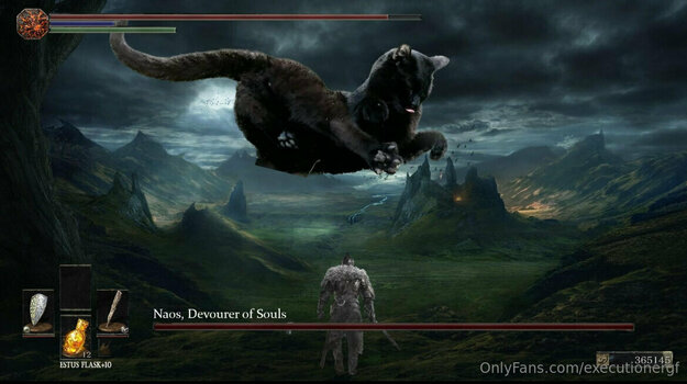 executionergf / executioner.gf Nude Leaks OnlyFans Photo 9