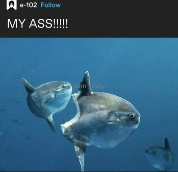 executionergf / executioner.gf Nude Leaks OnlyFans Photo 20