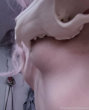 pixiebait Nude Leaks Photo 15