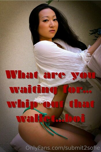 submit2sofie / slayerofliarsandscammers2.0 Nude Leaks OnlyFans Photo 32