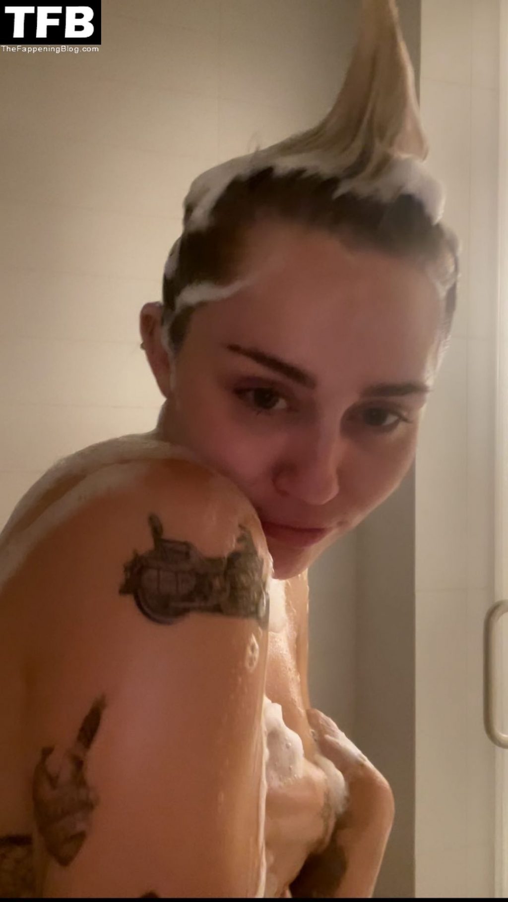 Miley Cyrus Nude